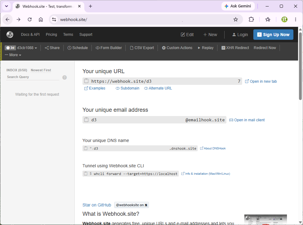 webhook.site landing page showing Your unique URL, unique email address, and unique DNS name, with the request list empty and Waiting for the first request